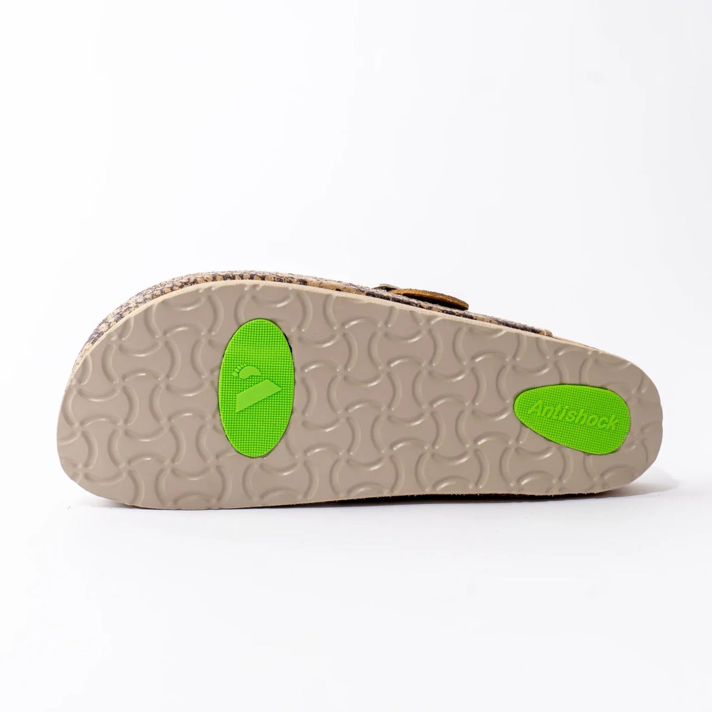 Animals anatomske klompe - Zmija