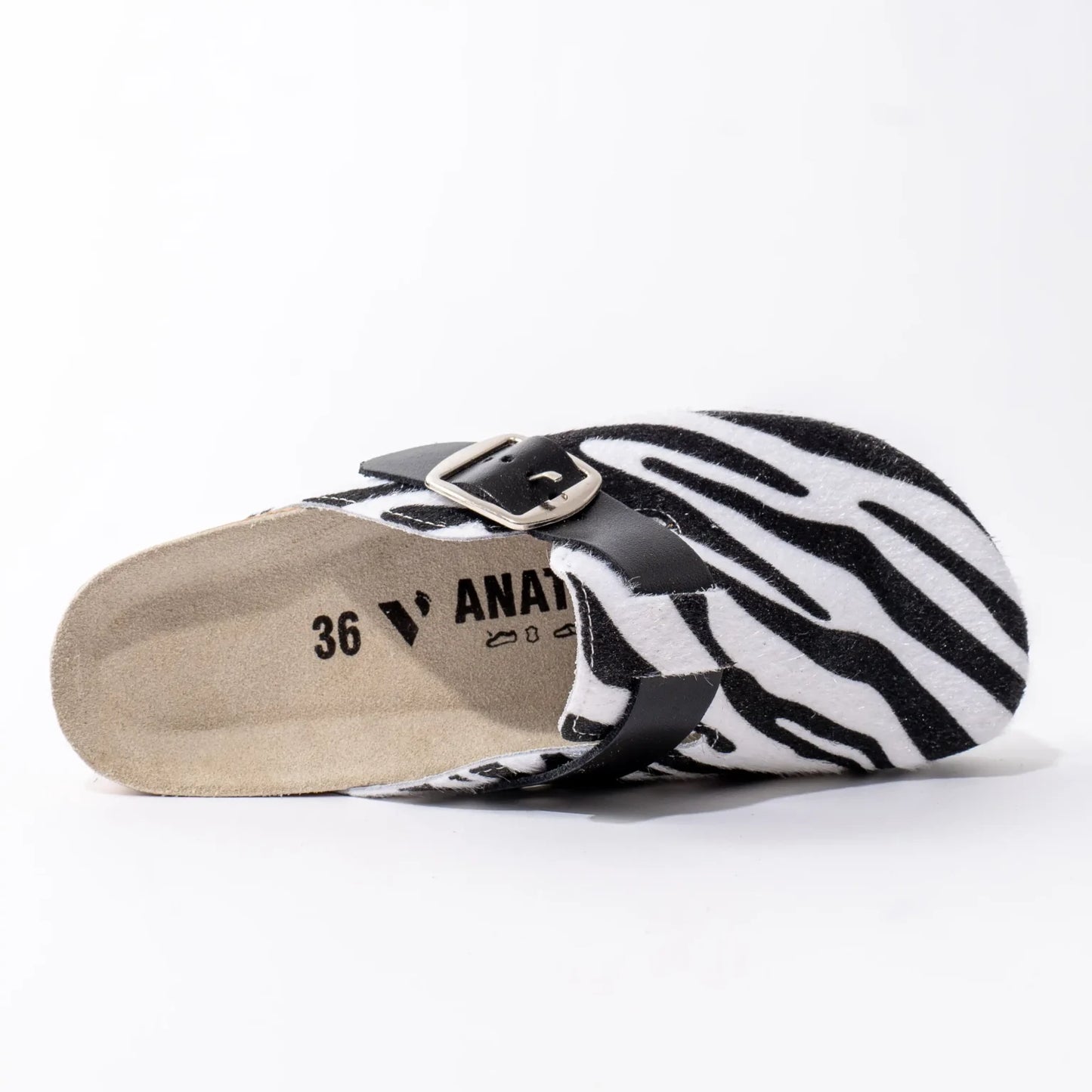 Animals anatomske klompe - Zebra