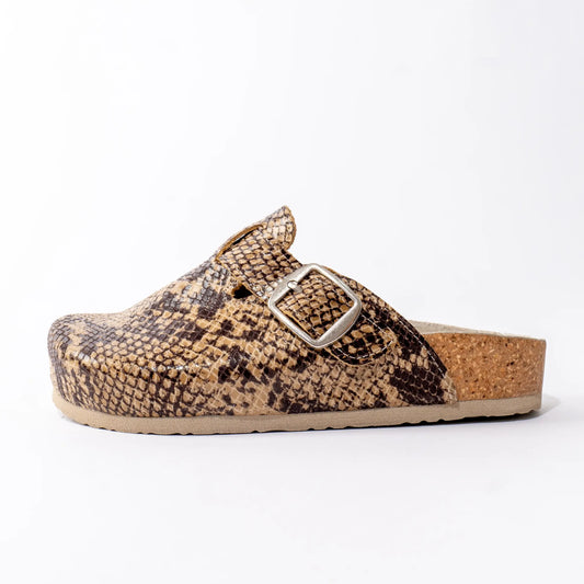 Animals anatomske klompe - Zmija