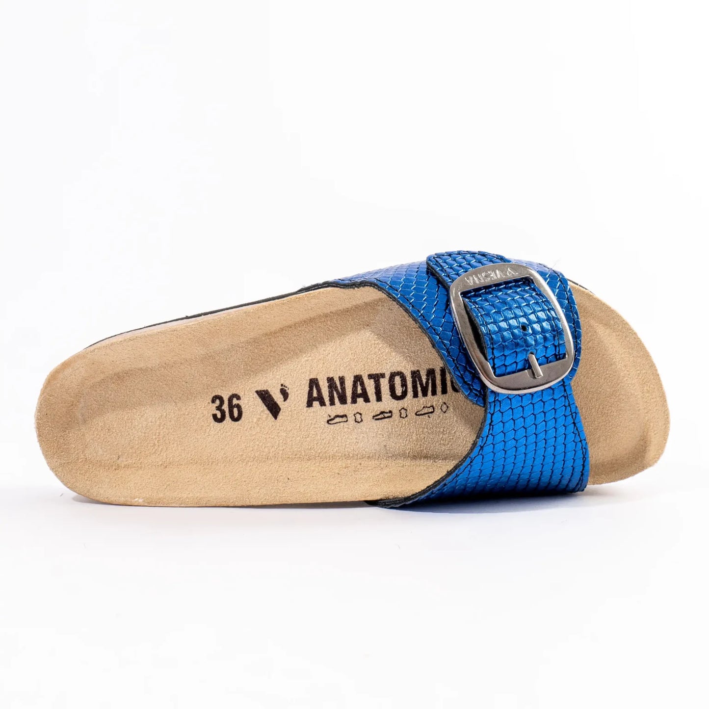 Bellona anatomske papuče - Plavi gušter